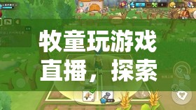 牧童游戲直播，鄉(xiāng)村樂趣與游戲世界的奇妙碰撞