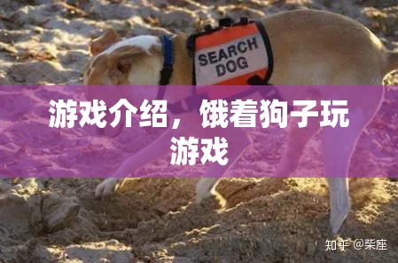 餓著狗子玩游戲，挑戰(zhàn)你的反應速度