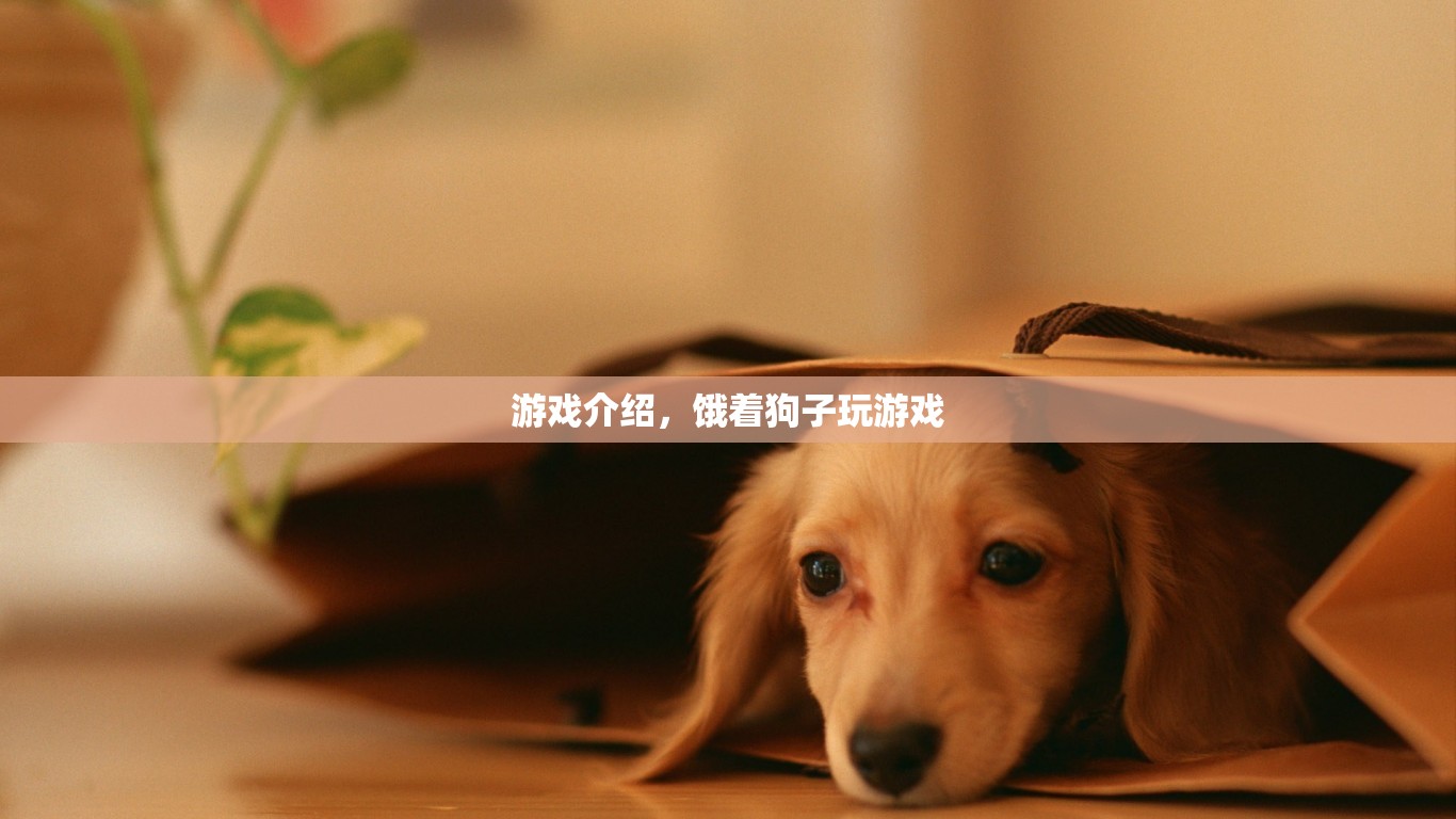 餓著狗子玩游戲，挑戰(zhàn)你的反應速度
