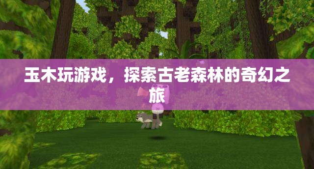 玉木探索古老森林，奇幻之旅開啟