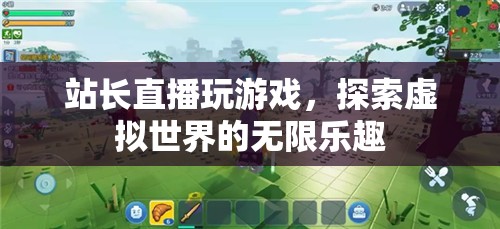 站長(zhǎng)直播探索虛擬世界的無(wú)限樂(lè)趣