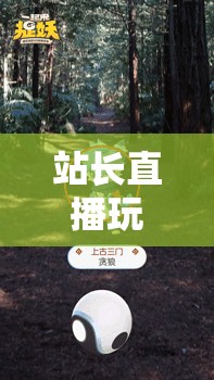 站長(zhǎng)直播探索虛擬世界的無(wú)限樂(lè)趣