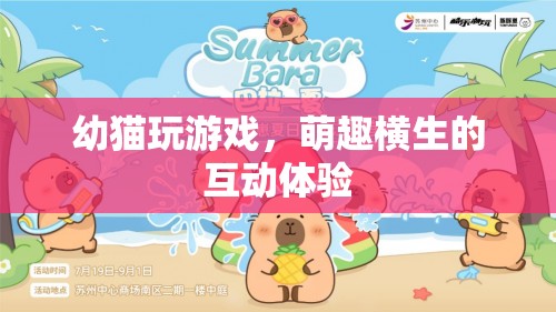 幼貓萌趣互動，玩游戲的貓咪最可愛