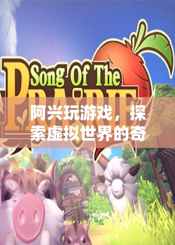 阿興的虛擬世界探險(xiǎn)之旅