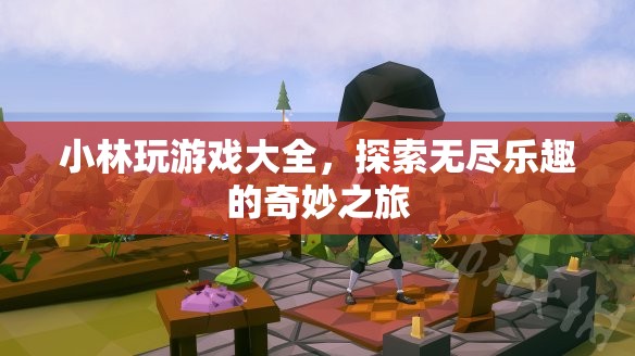 小林玩游戲大全，開啟奇妙之旅