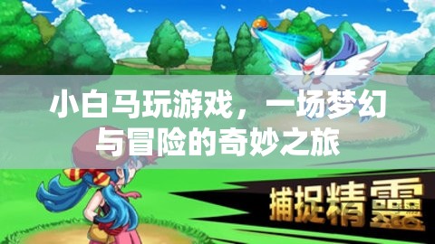 小白馬的游戲冒險之旅