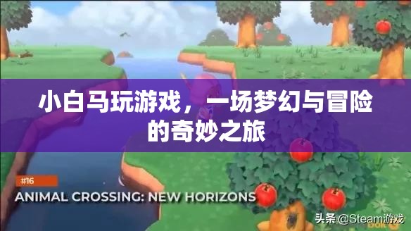 小白馬的游戲冒險之旅