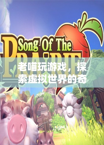 老喵探索虛擬世界的奇妙之旅