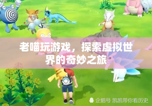 老喵探索虛擬世界的奇妙之旅