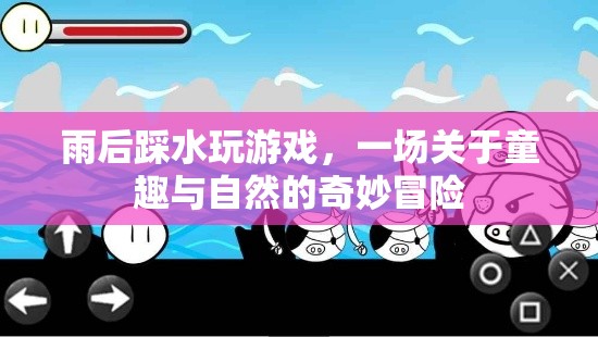 雨后踩水，一場童趣與自然的奇妙冒險