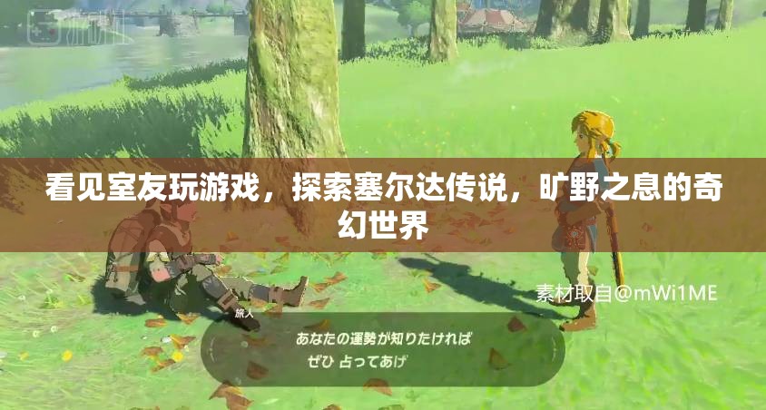 室友探索塞爾達傳說，曠野之息奇幻世界