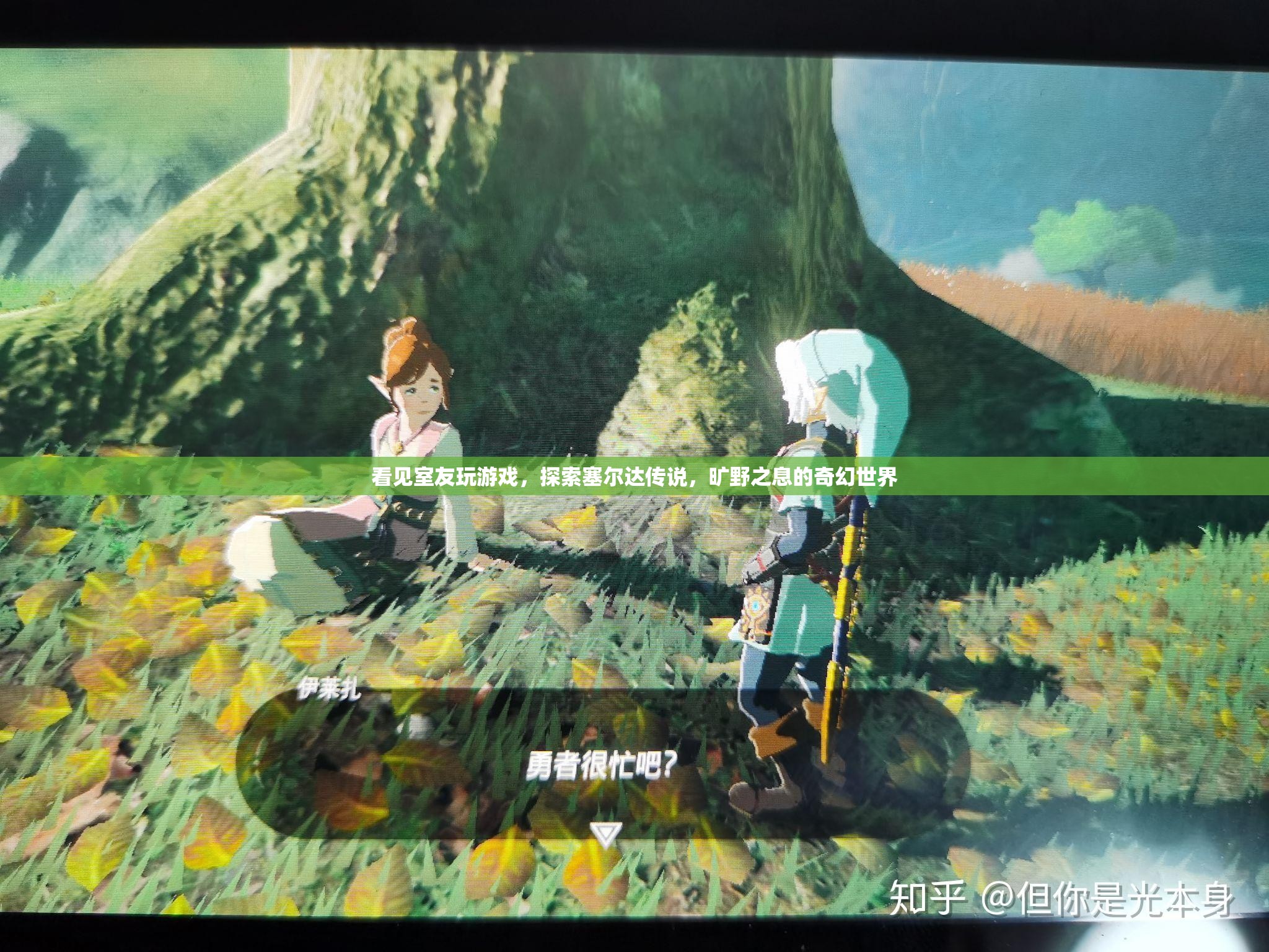 室友探索塞爾達傳說，曠野之息奇幻世界