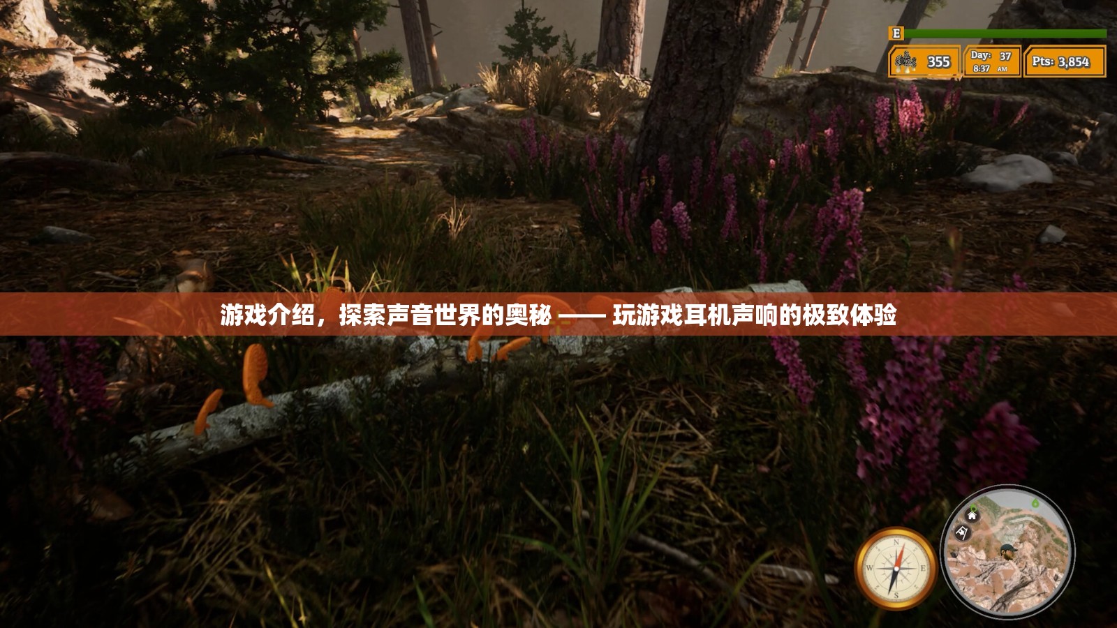 探索聲音世界的奧秘，游戲耳機(jī)聲響的極致體驗(yàn)