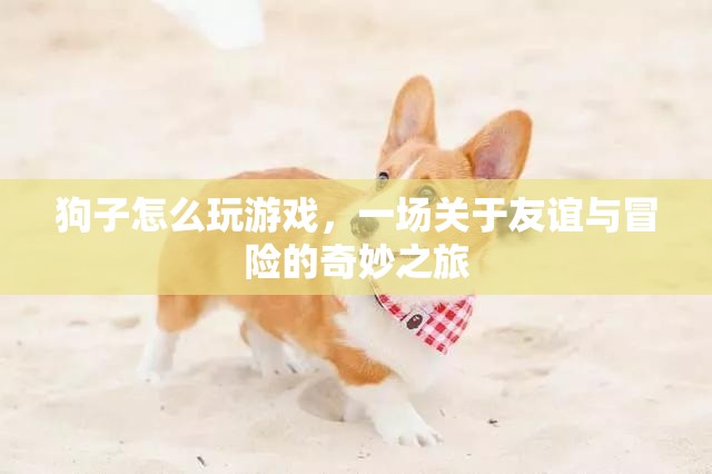 一場關于友誼與冒險的奇妙之旅，狗子如何玩游戲