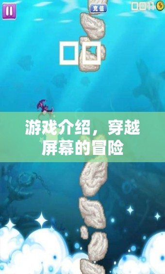 穿越屏幕的冒險(xiǎn)，一場(chǎng)驚險(xiǎn)刺激的游戲之旅