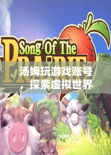 湯姆的虛擬世界之旅，探索游戲賬號(hào)的奇妙冒險(xiǎn)