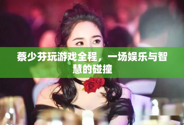 蔡少芬游戲全程，娛樂(lè)與智慧的碰撞盛宴