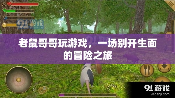老鼠哥哥的游戲冒險之旅