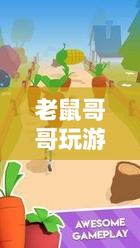 老鼠哥哥的游戲冒險之旅