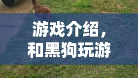 與黑狗共舞，一場(chǎng)別開生面的游戲之旅
