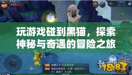 黑貓引領(lǐng)的冒險之旅，探索神秘與奇遇