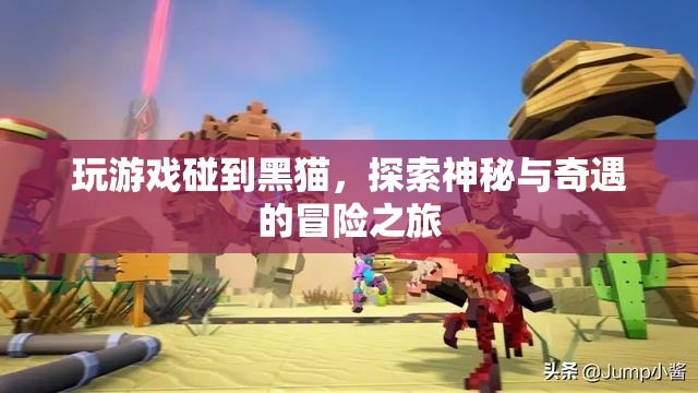 黑貓引領(lǐng)的冒險之旅，探索神秘與奇遇