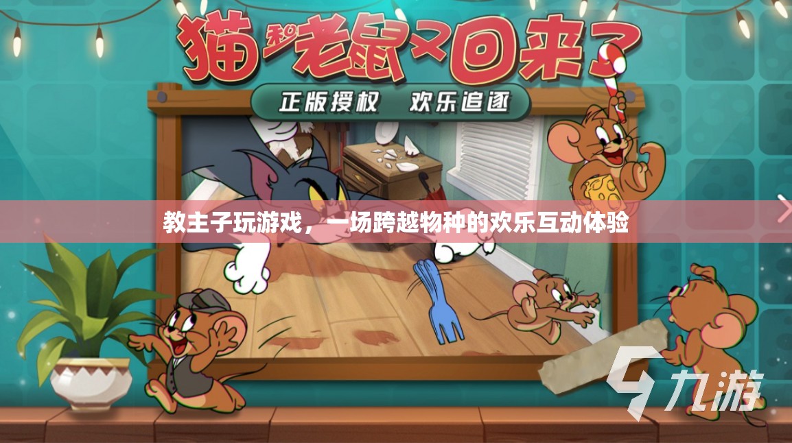 跨越物種的歡樂(lè)，教主子玩游戲的互動(dòng)體驗(yàn)