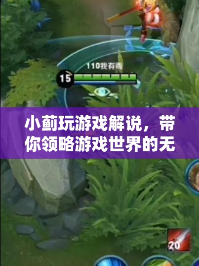 小薊游戲解說，帶你領略游戲世界的魅力