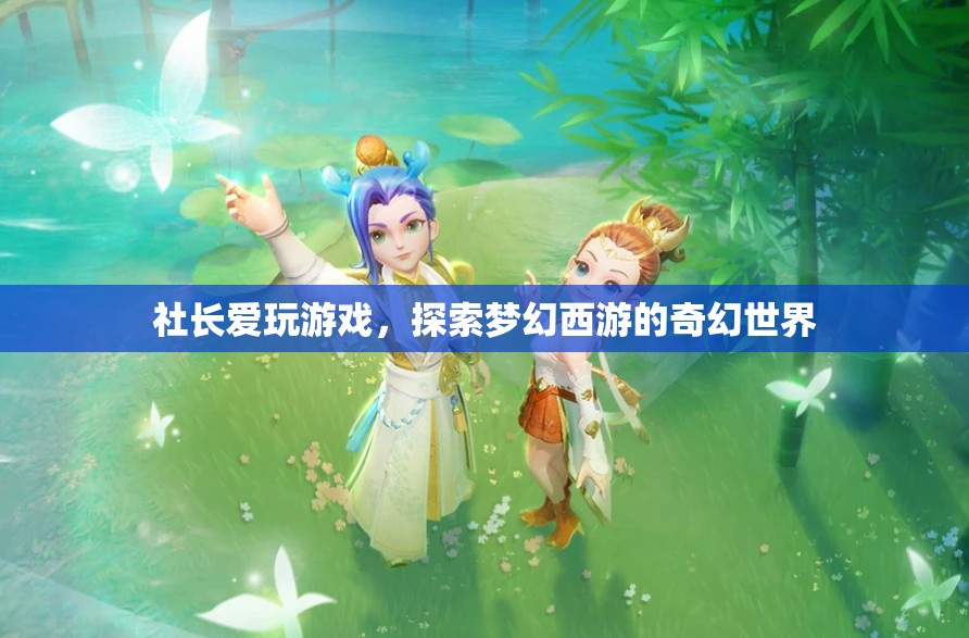 社長沉迷夢幻西游，探索奇幻世界