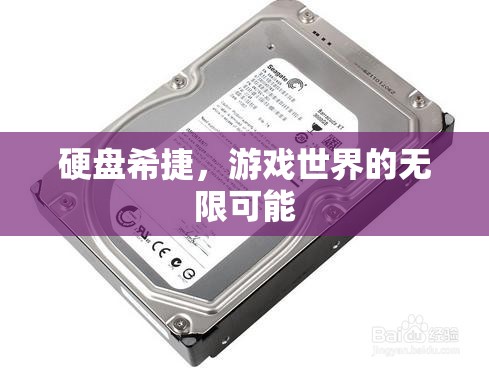 硬盤希捷，解鎖游戲世界的無限可能