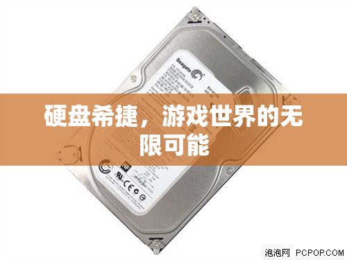硬盤希捷，解鎖游戲世界的無限可能