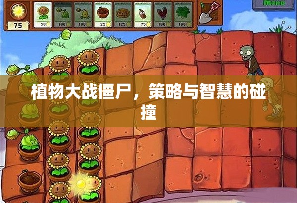 植物大戰(zhàn)僵尸，策略與智慧的較量