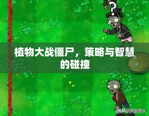 植物大戰(zhàn)僵尸，策略與智慧的較量