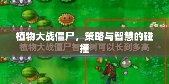 植物大戰(zhàn)僵尸，策略與智慧的較量