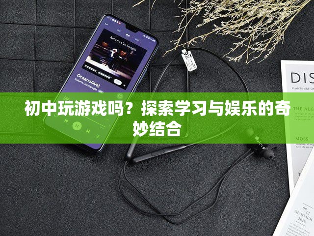初中游戲，探索學習與娛樂的奇妙結合