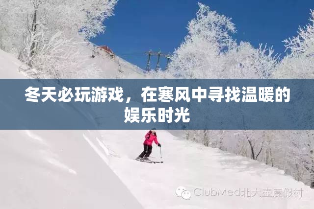 冬日暖心游戲，在寒風(fēng)中尋找娛樂時(shí)光