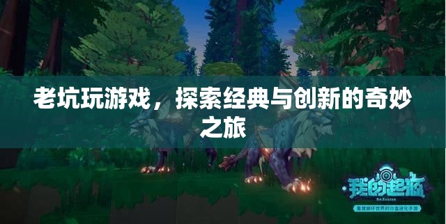 老坑探索經(jīng)典與創(chuàng)新的奇妙之旅