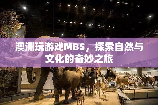 探索自然與文化的奇妙之旅，澳洲MBS游戲體驗(yàn)