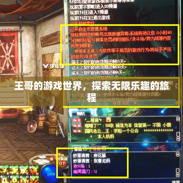 王哥的游戲世界，探索無限樂趣的旅程