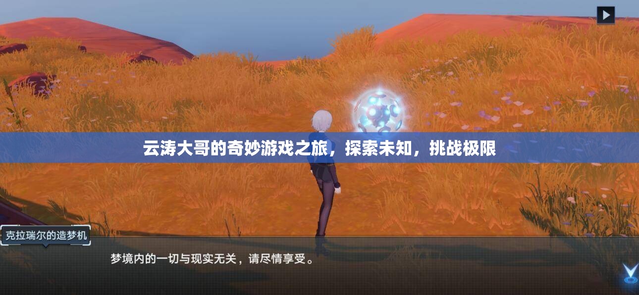 云濤大哥的奇妙探險，挑戰(zhàn)極限，探索未知的游戲之旅