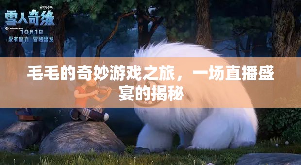 毛毛的奇妙游戲之旅，揭秘直播盛宴的幕后