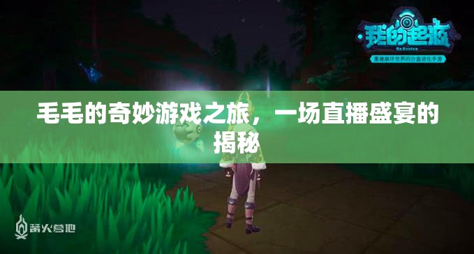 毛毛的奇妙游戲之旅，揭秘直播盛宴的幕后