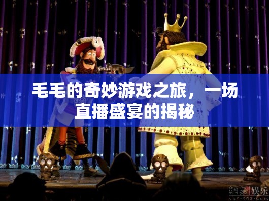 毛毛的奇妙游戲之旅，揭秘直播盛宴的幕后