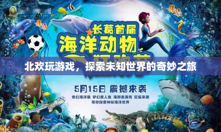 探索未知世界的奇妙之旅，北歡的游戲之旅