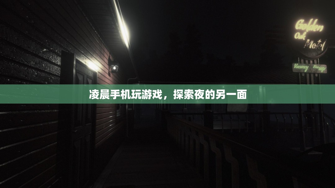 凌晨手機(jī)游戲的奇妙夜世界