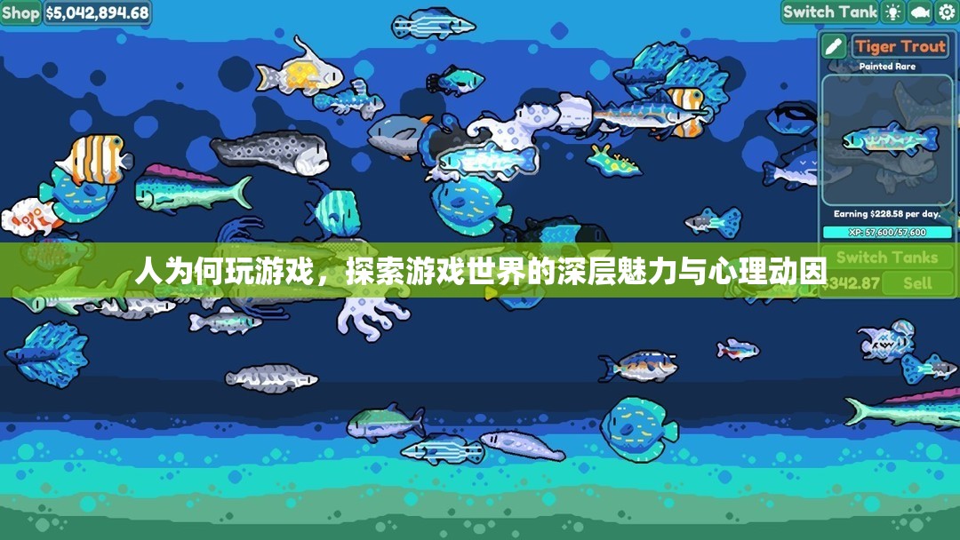 探索游戲世界的深層魅力，人為何玩游戲及其心理動(dòng)因