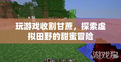 虛擬田野的甜蜜冒險，收割甘蔗，探索游戲世界