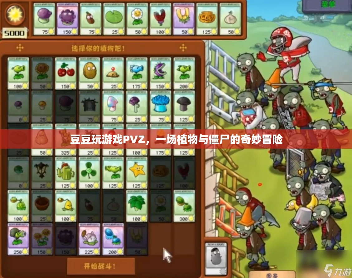 豆豆的PVZ冒險(xiǎn)，植物與僵尸的奇妙對(duì)決