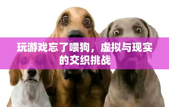 玩游戲忘喂狗，虛擬與現(xiàn)實(shí)交織的挑戰(zhàn)