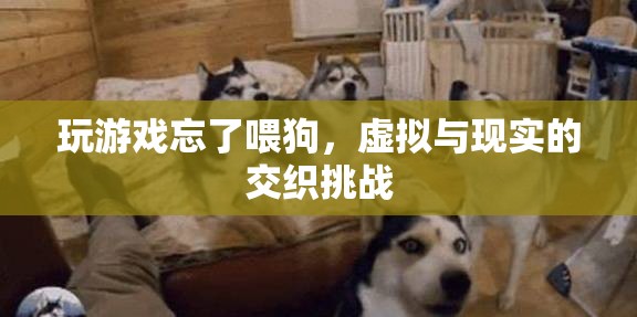玩游戲忘喂狗，虛擬與現(xiàn)實(shí)交織的挑戰(zhàn)